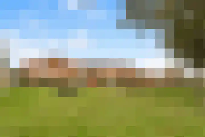 De Grote Weid 52 Uitgeest thumbnail 37