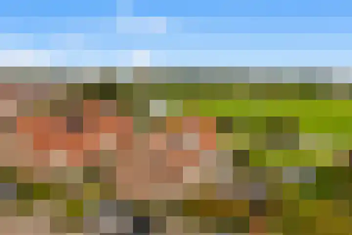 De Grote Weid 52 Uitgeest thumbnail 4