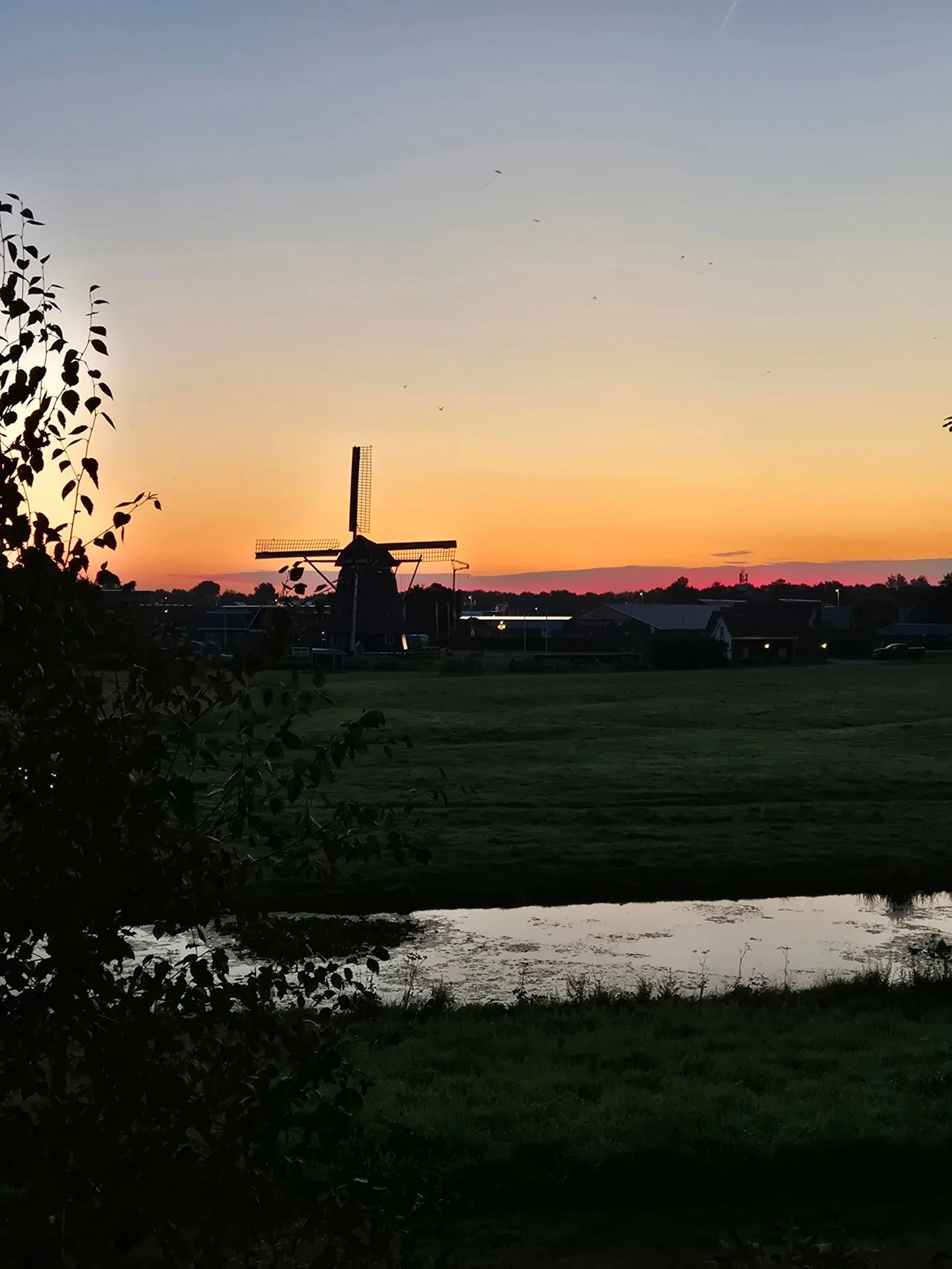 De Grote Weid 54 Uitgeest thumbnail 71