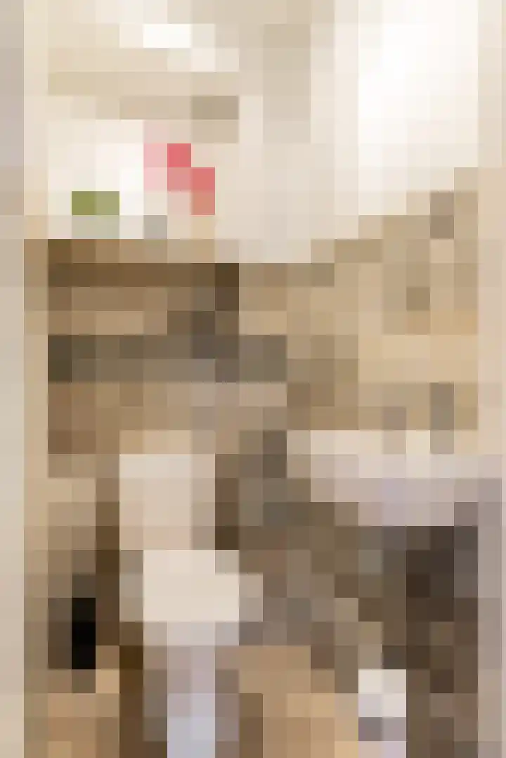 De Grote Weid 9 Uitgeest thumbnail 11