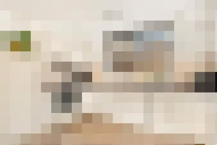 De Grote Weid 9 Uitgeest thumbnail 14