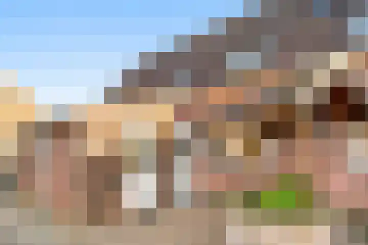 De Grote Weid 9 Uitgeest foto 2