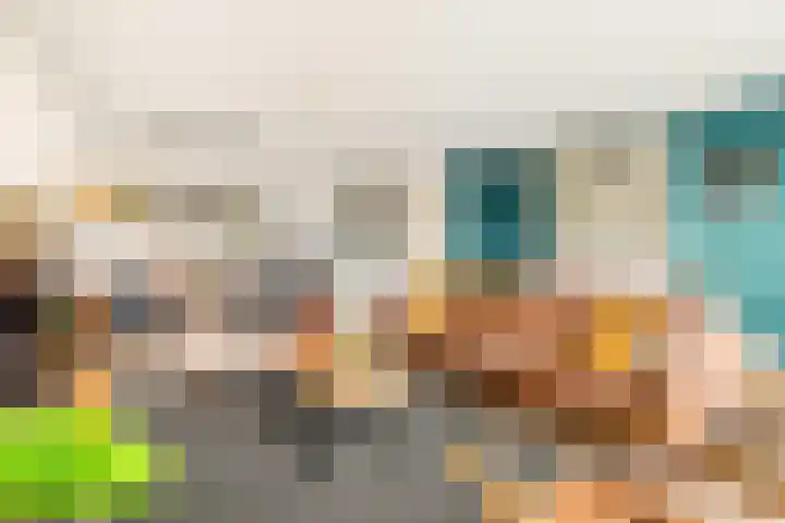 De Grote Weid 9 Uitgeest thumbnail 20