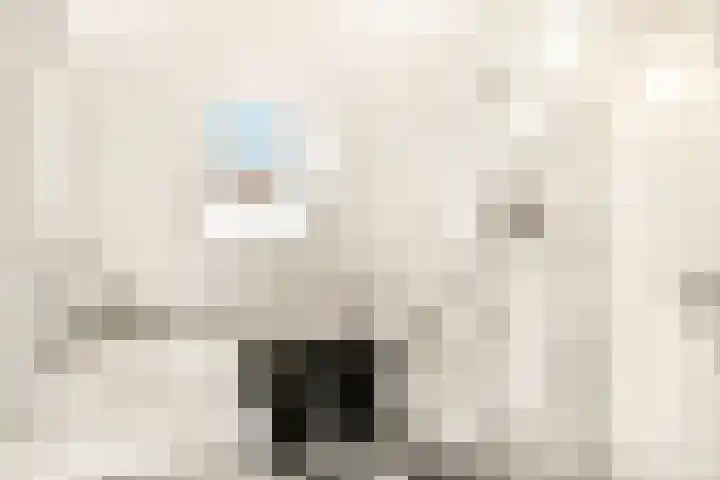 De Grote Weid 9 Uitgeest thumbnail 24