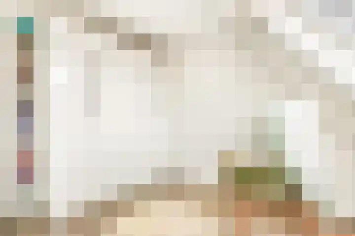 De Grote Weid 9 Uitgeest thumbnail 27