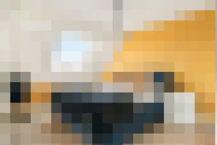 De Grote Weid 9 Uitgeest thumbnail 29