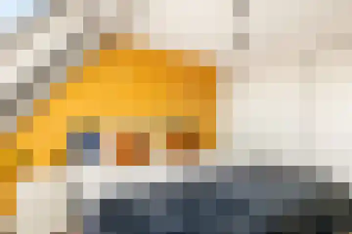 De Grote Weid 9 Uitgeest thumbnail 30