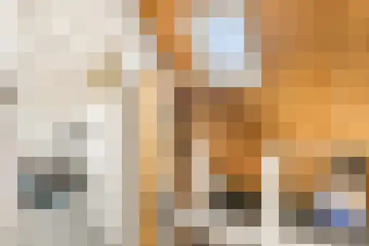 De Grote Weid 9 Uitgeest thumbnail 33