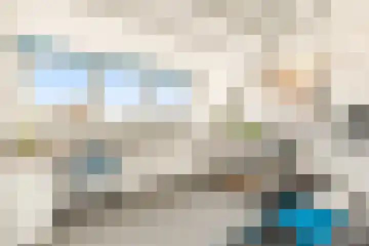 De Grote Weid 9 Uitgeest thumbnail 34