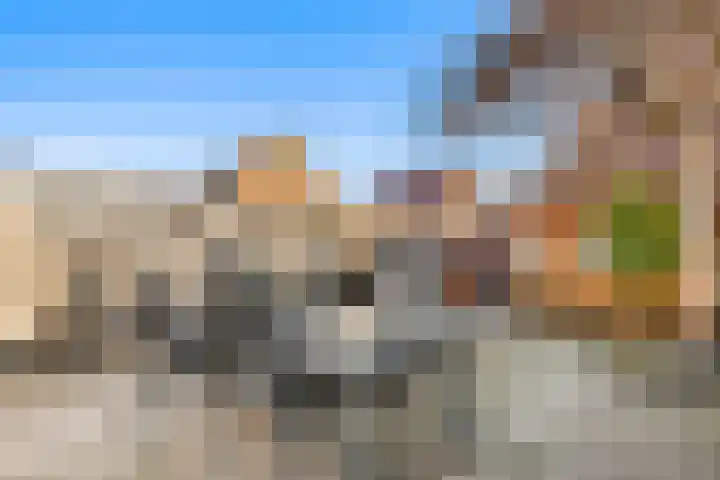 De Grote Weid 9 Uitgeest thumbnail 38