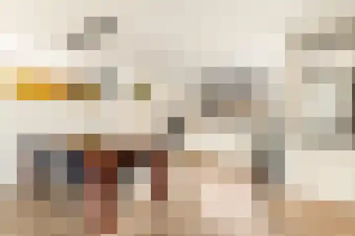 De Grote Weid 9 Uitgeest thumbnail 4
