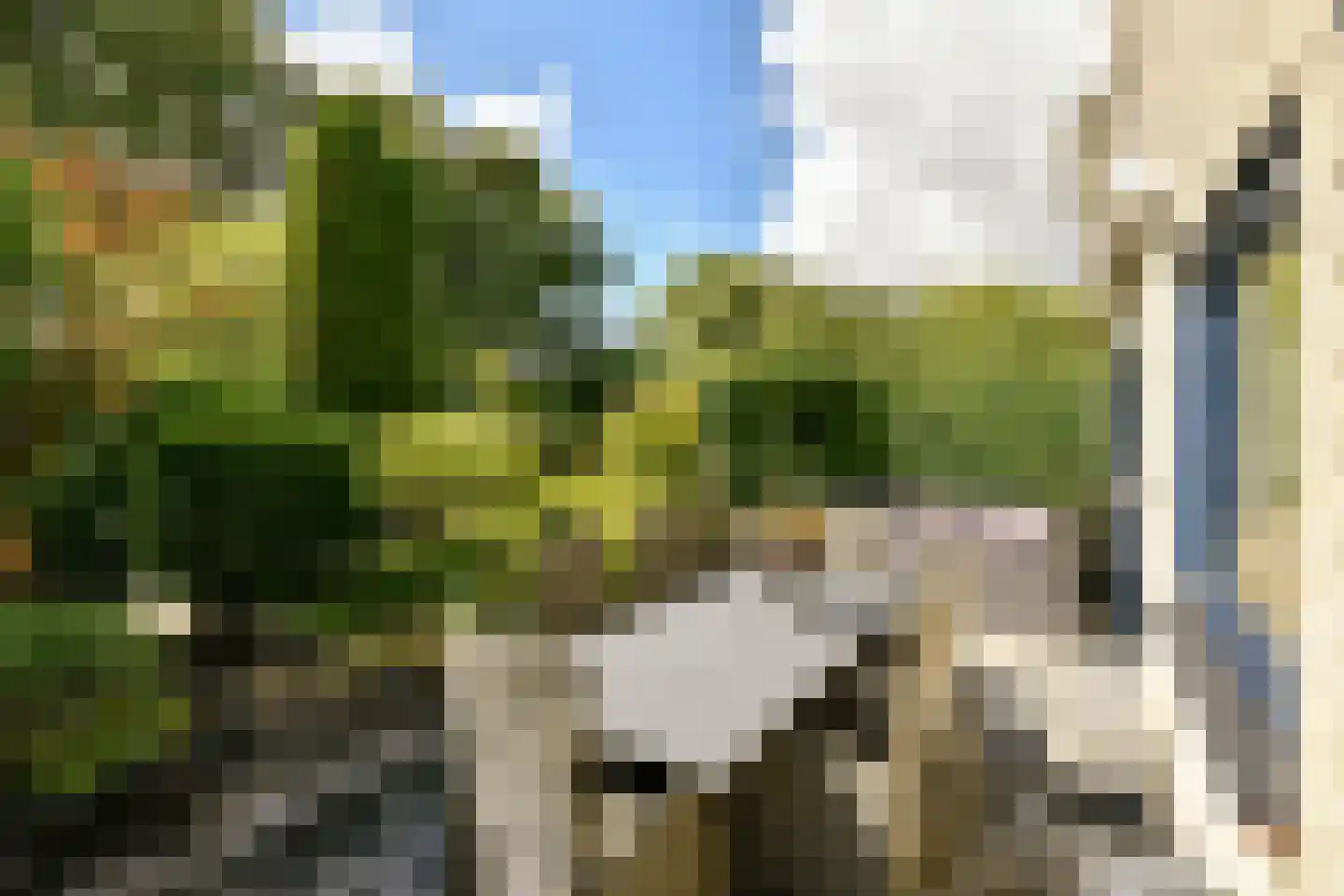 De Grote Wielen 19 Amstelveen thumbnail 12