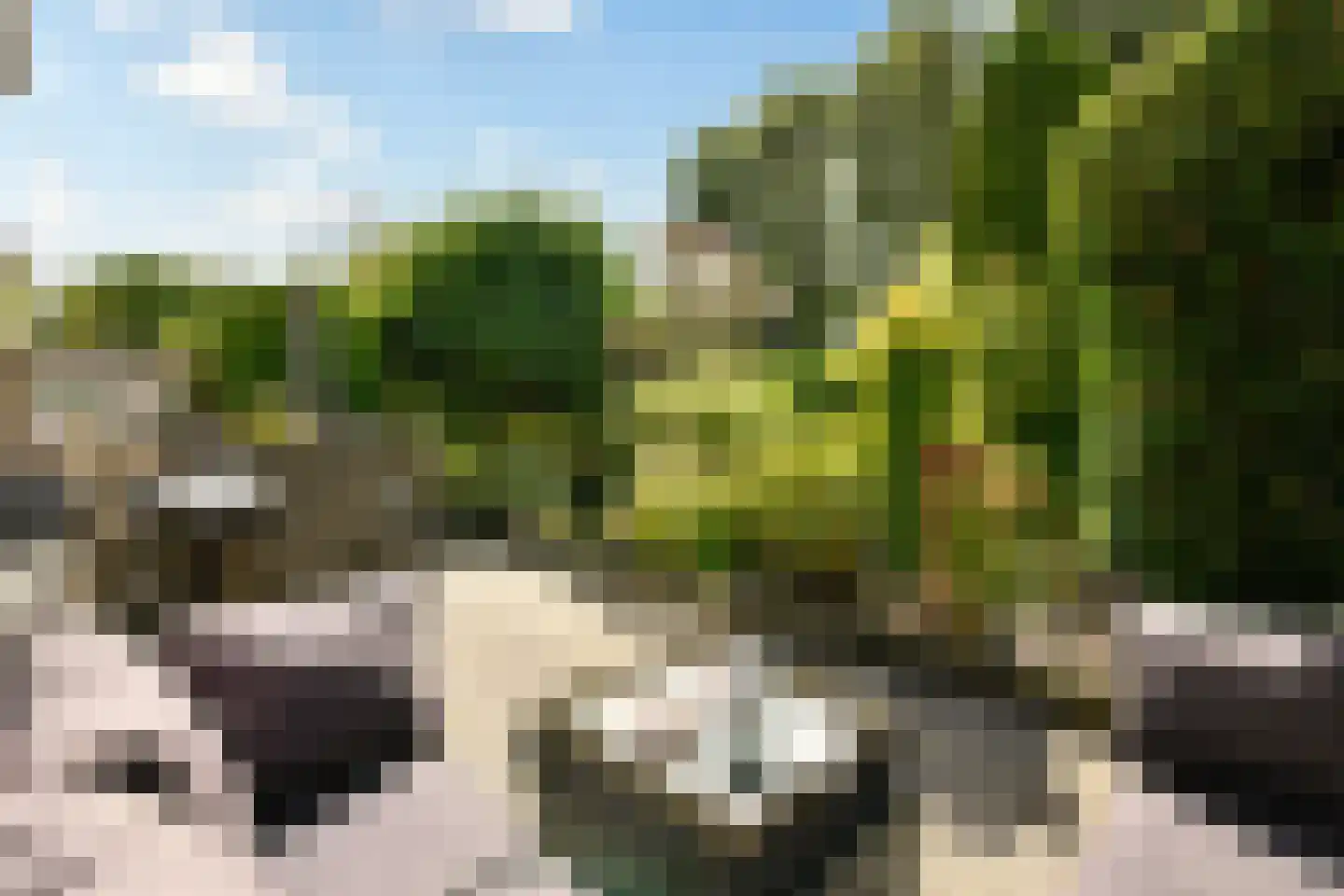 De Grote Wielen 19 Amstelveen thumbnail 13