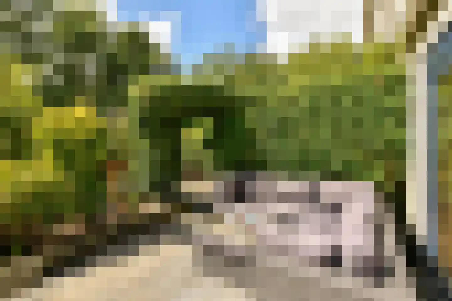 De Grote Wielen 19 Amstelveen thumbnail 15