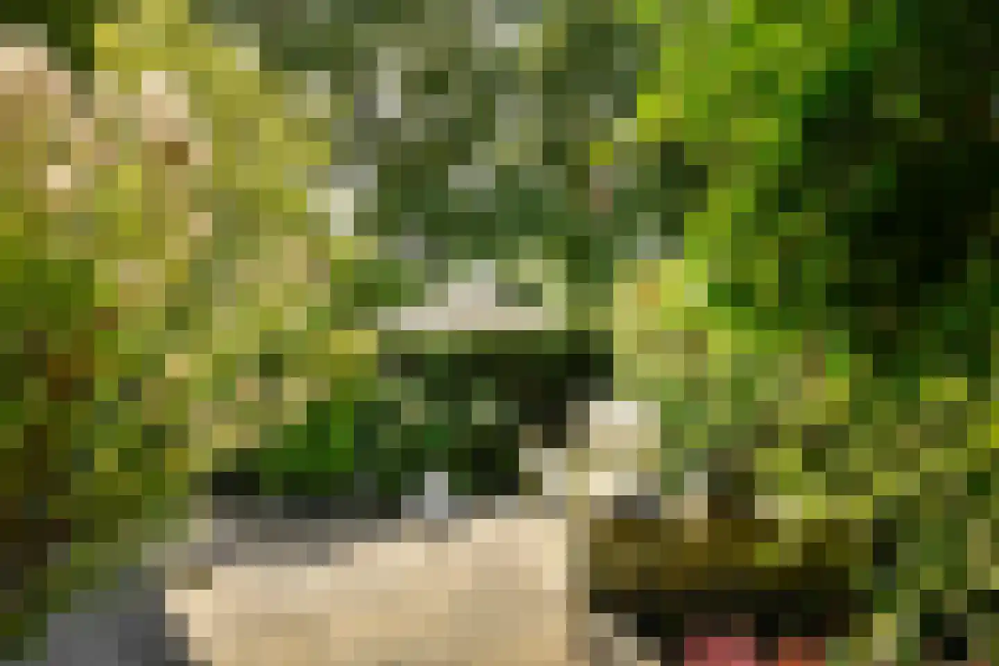 De Grote Wielen 19 Amstelveen thumbnail 16