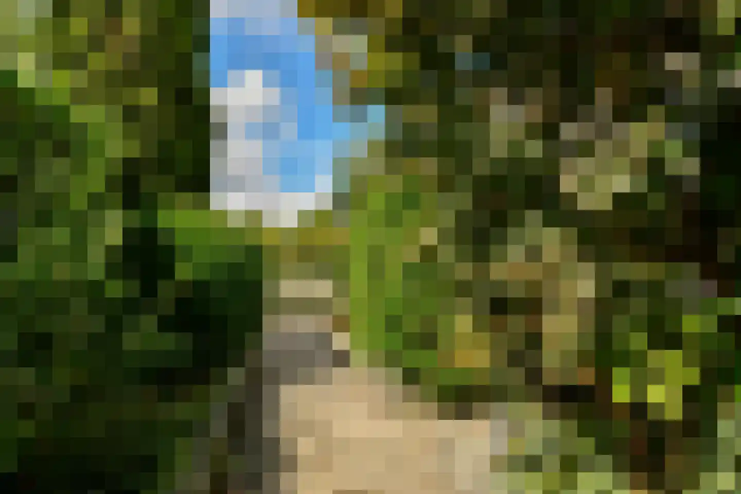 De Grote Wielen 19 Amstelveen thumbnail 17