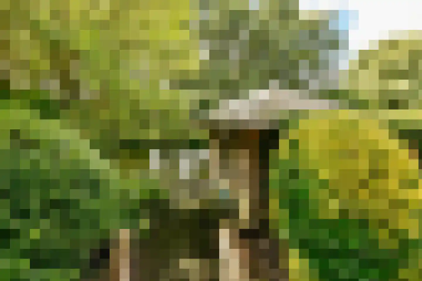 De Grote Wielen 19 Amstelveen thumbnail 18