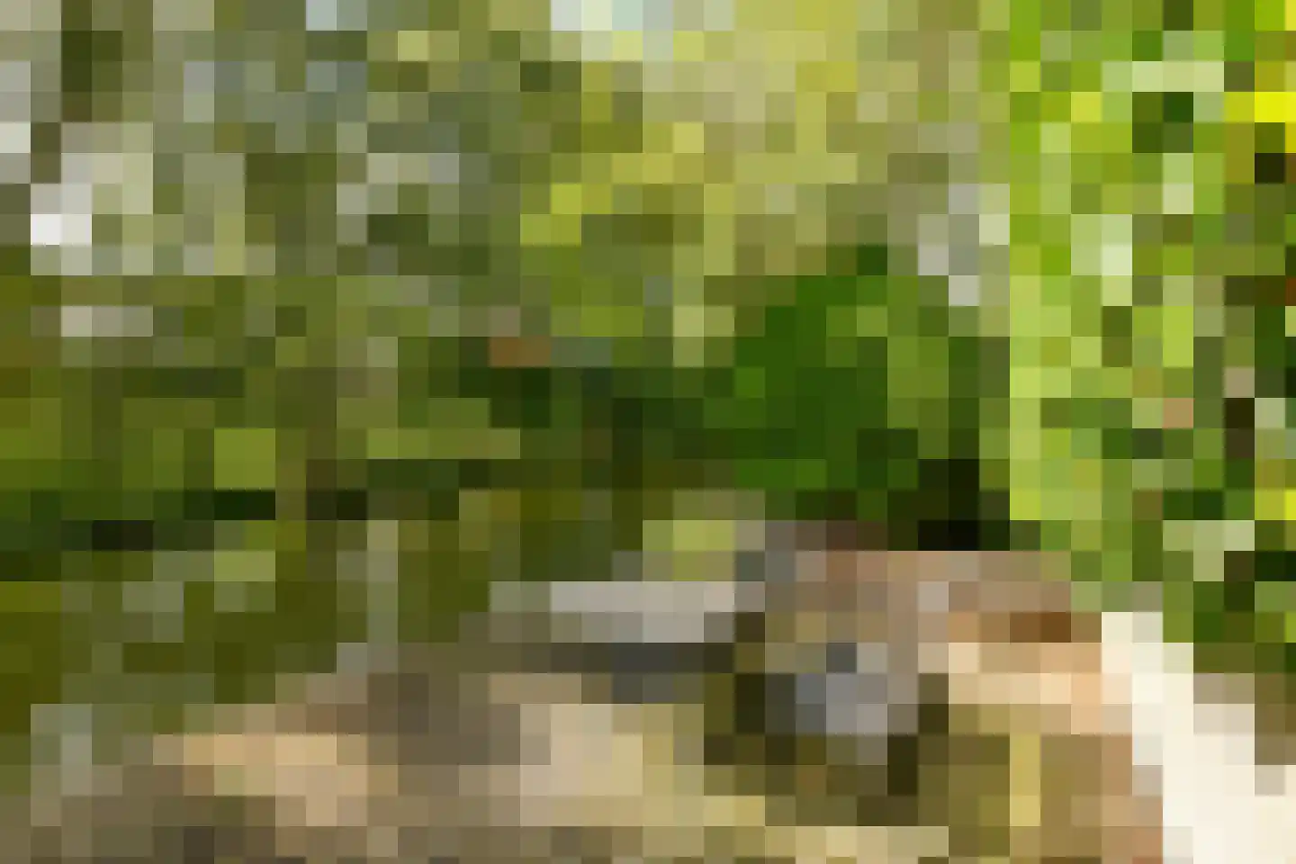 De Grote Wielen 19 Amstelveen thumbnail 19