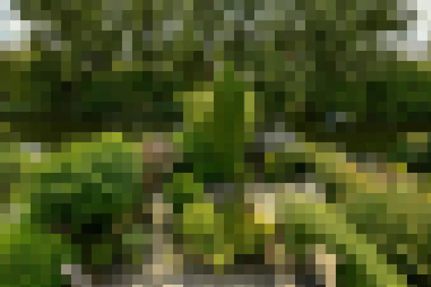De Grote Wielen 19 Amstelveen thumbnail 41