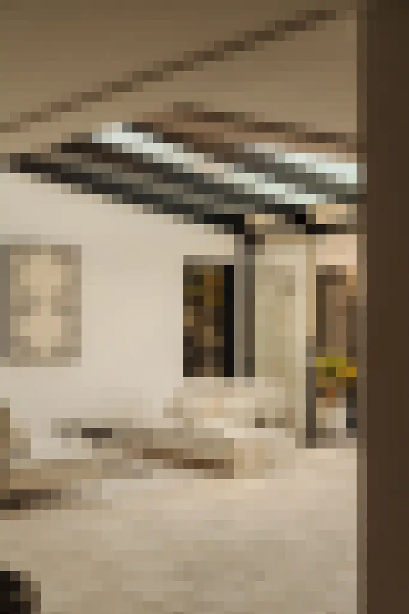 De Grote Wielen 53 Amstelveen thumbnail 16