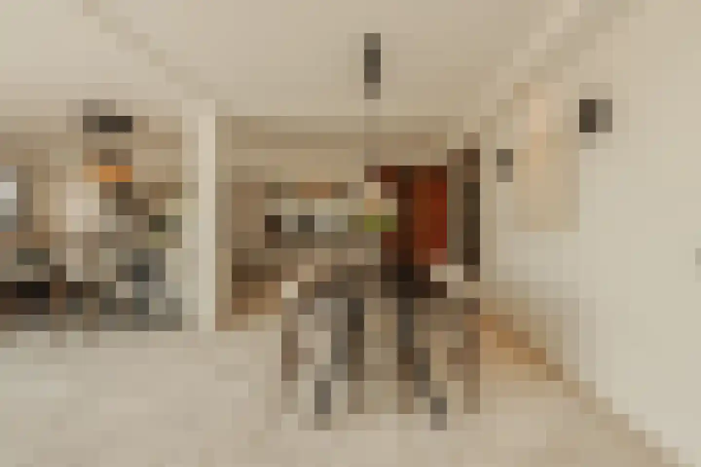 De Grote Wielen 53 Amstelveen thumbnail 21