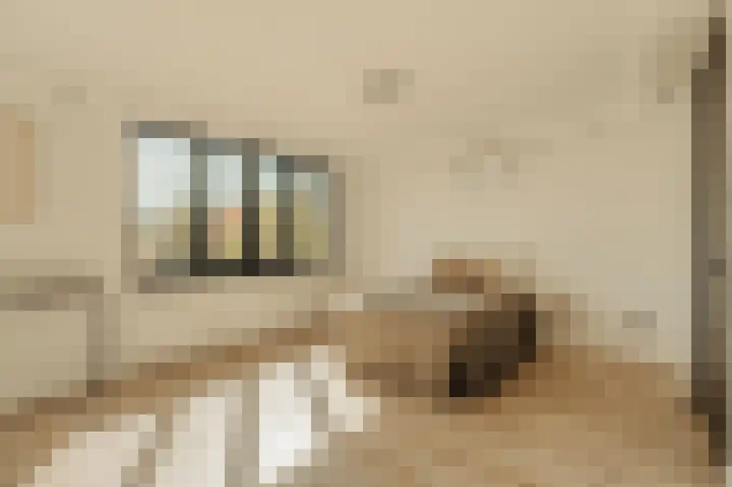 De Grote Wielen 53 Amstelveen thumbnail 29