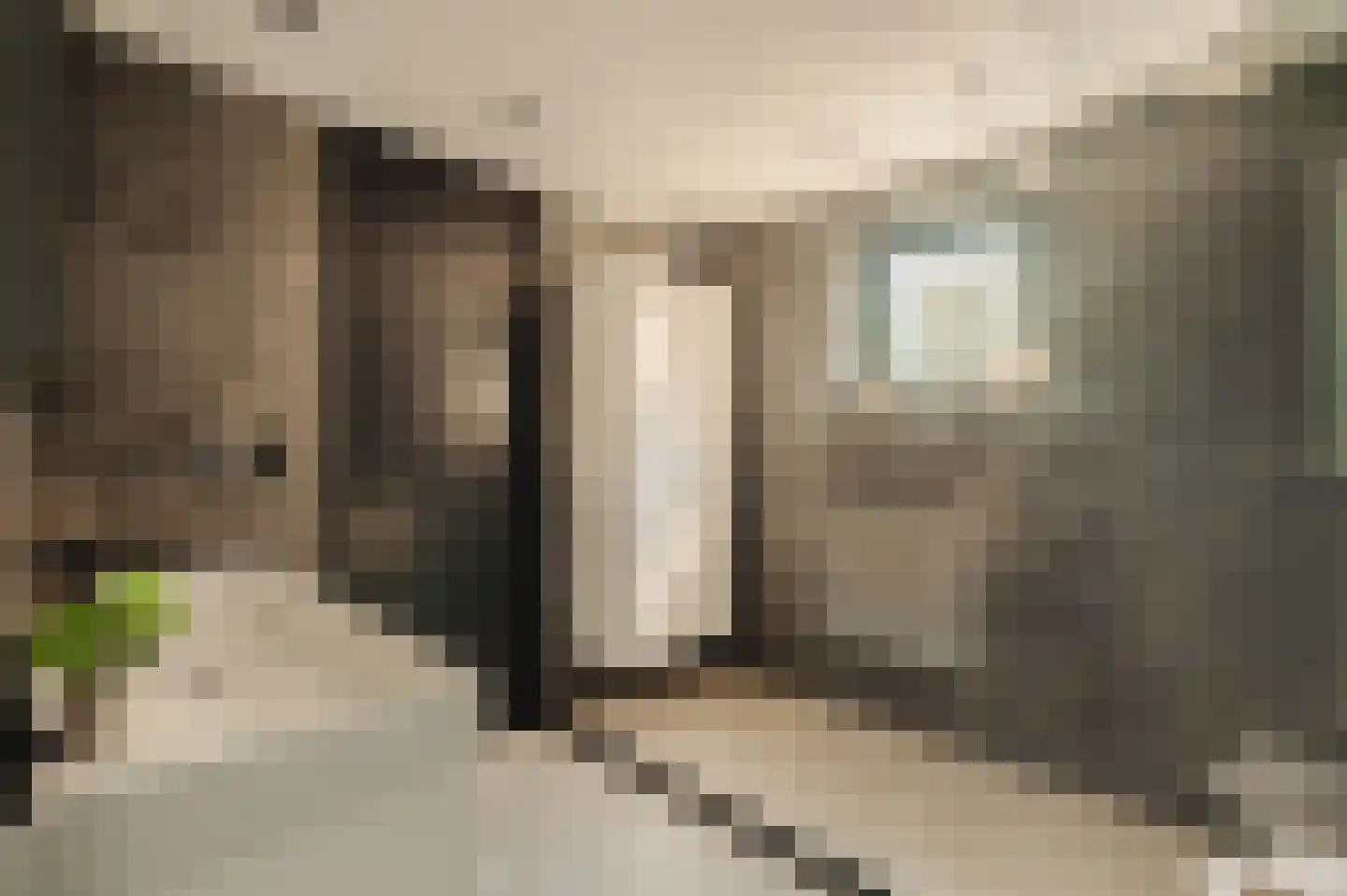 De Grote Wielen 53 Amstelveen thumbnail 33