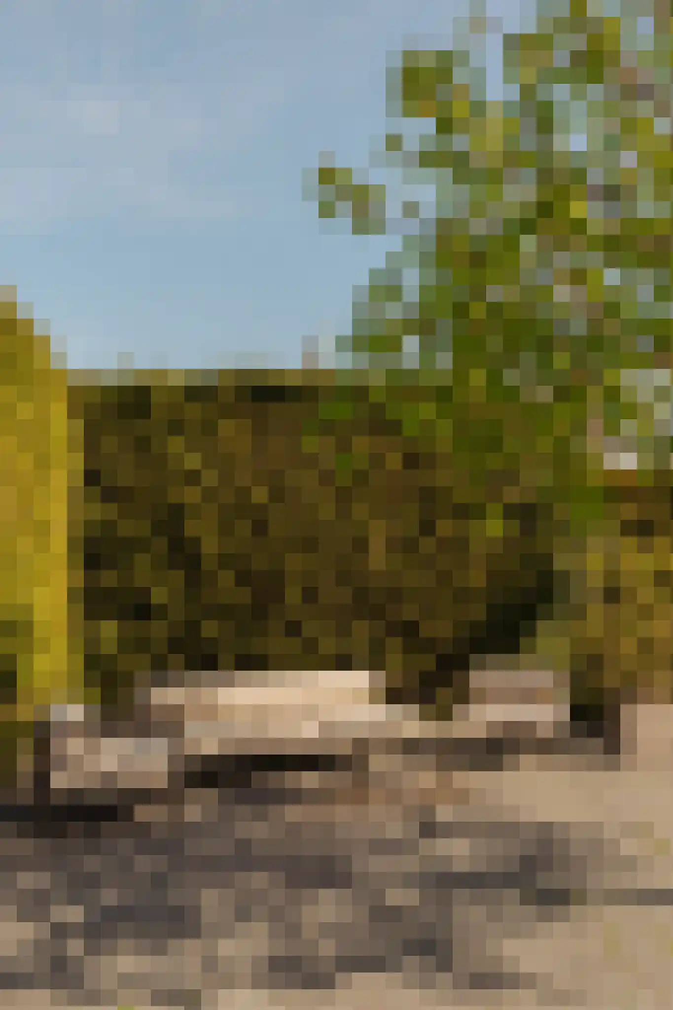 De Grote Wielen 53 Amstelveen thumbnail 53