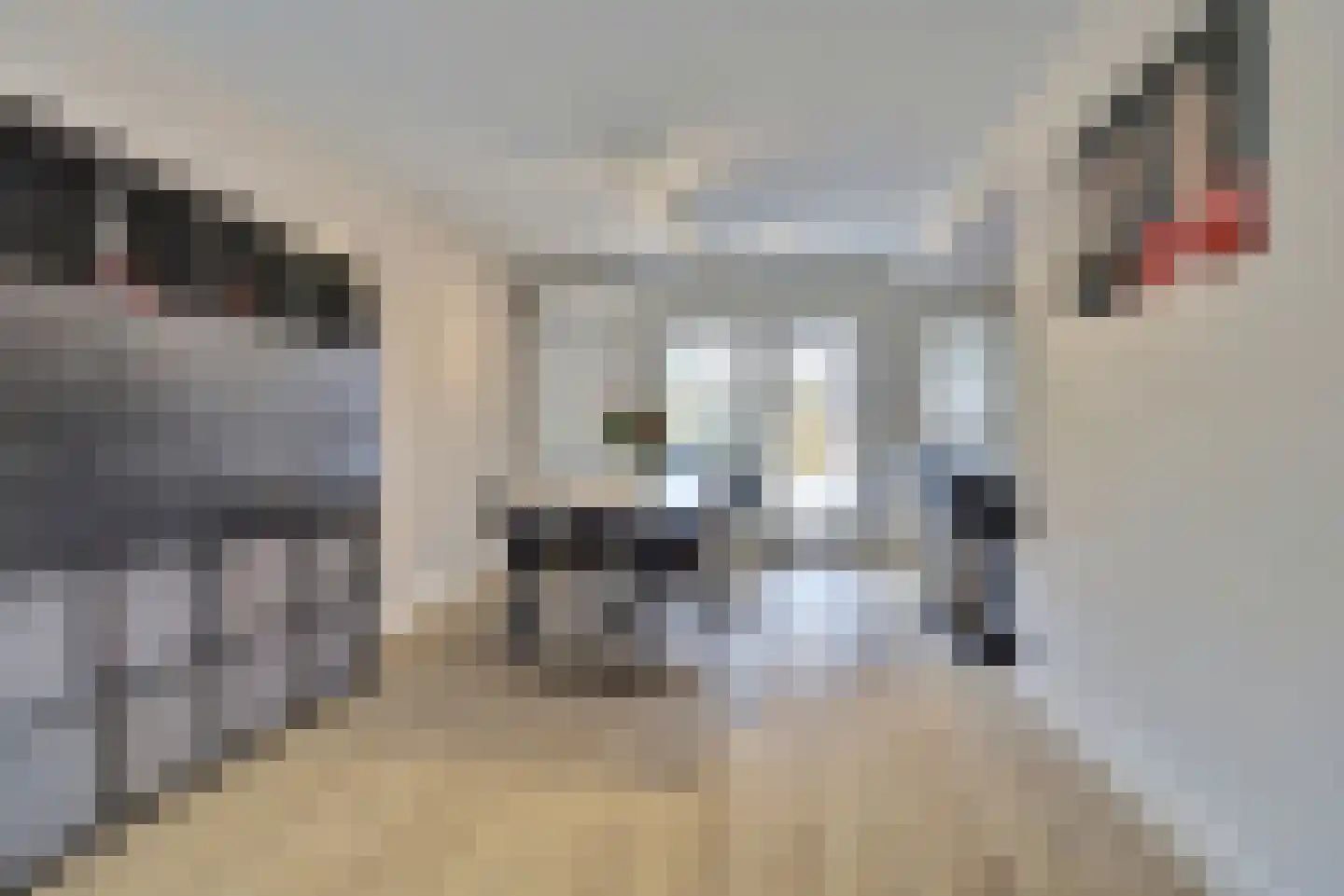 De Groten Ekker 12 Bladel thumbnail 10