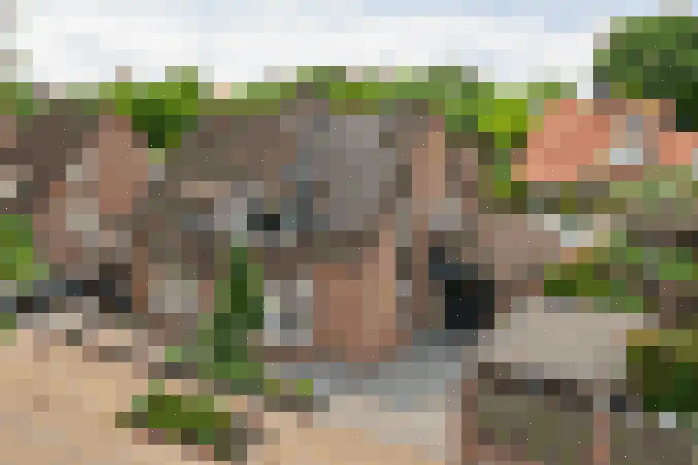 De Groten Ekker 12 Bladel foto 2