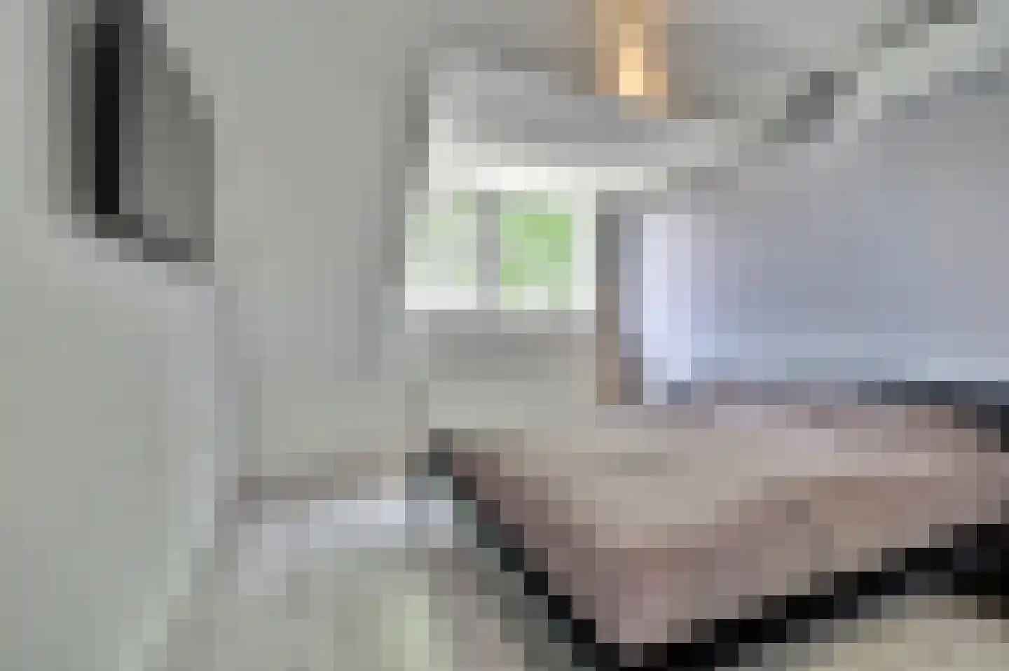 De Groten Ekker 12 Bladel thumbnail 23