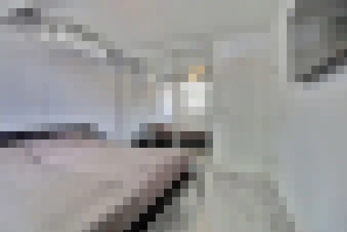 De Groten Ekker 12 Bladel thumbnail 25