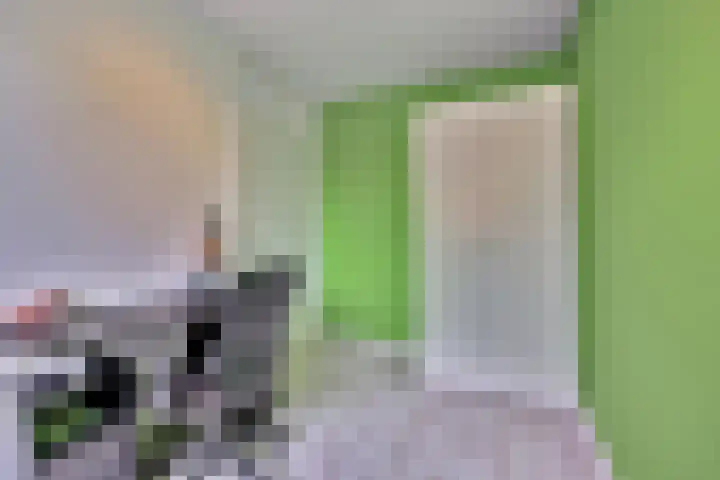 De Groten Ekker 12 Bladel thumbnail 27