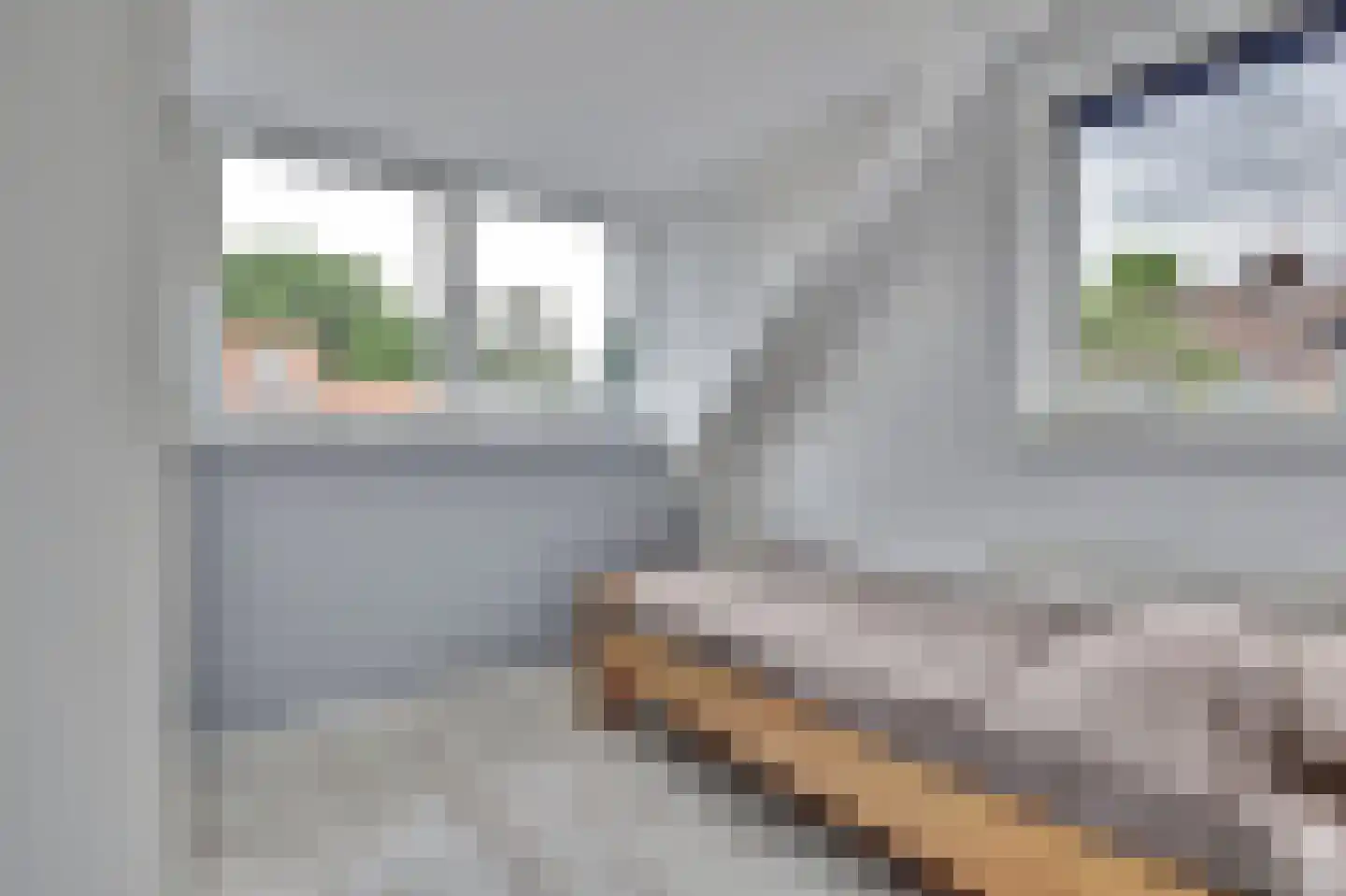 De Groten Ekker 12 Bladel thumbnail 28