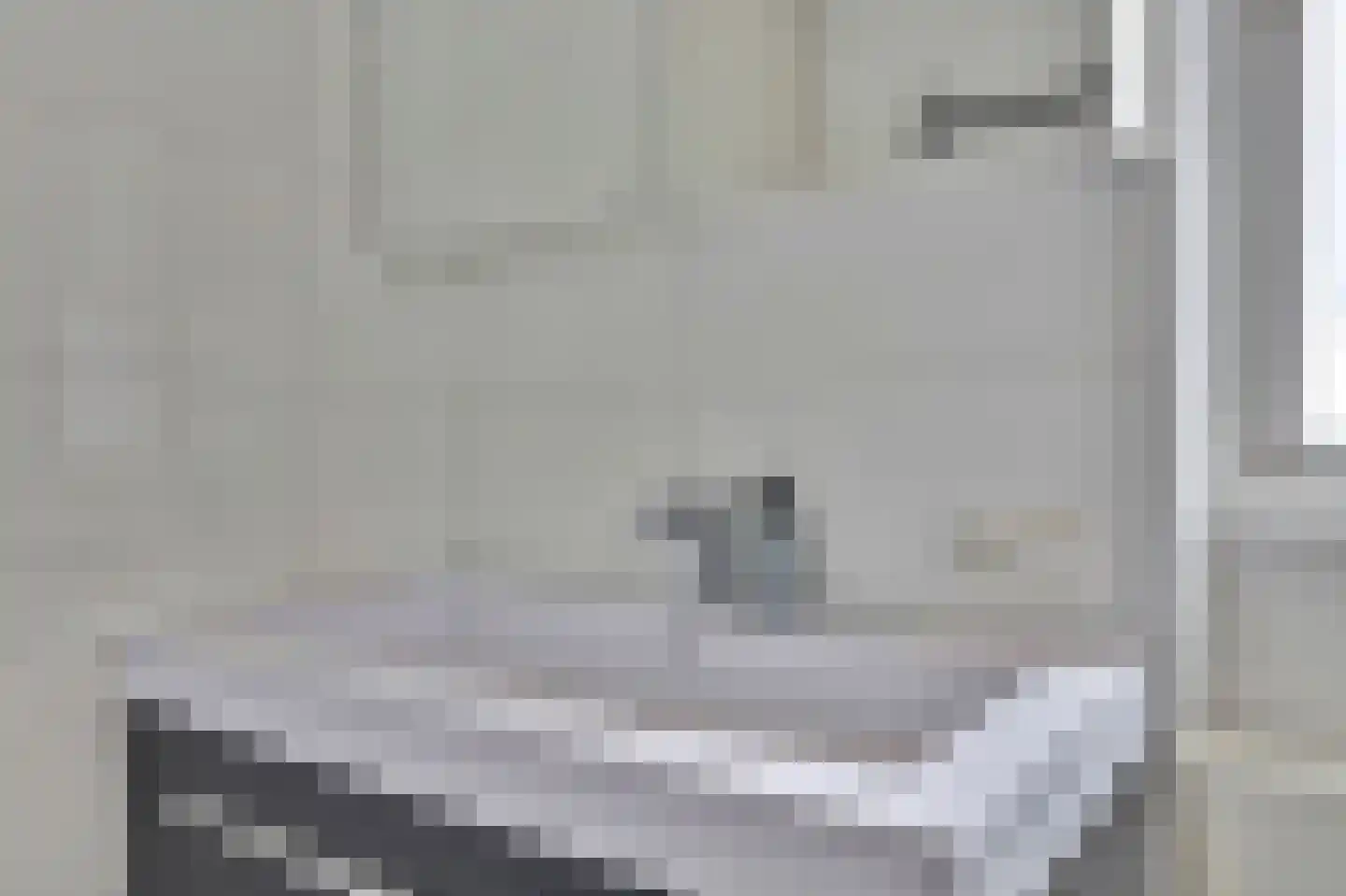 De Groten Ekker 12 Bladel thumbnail 30