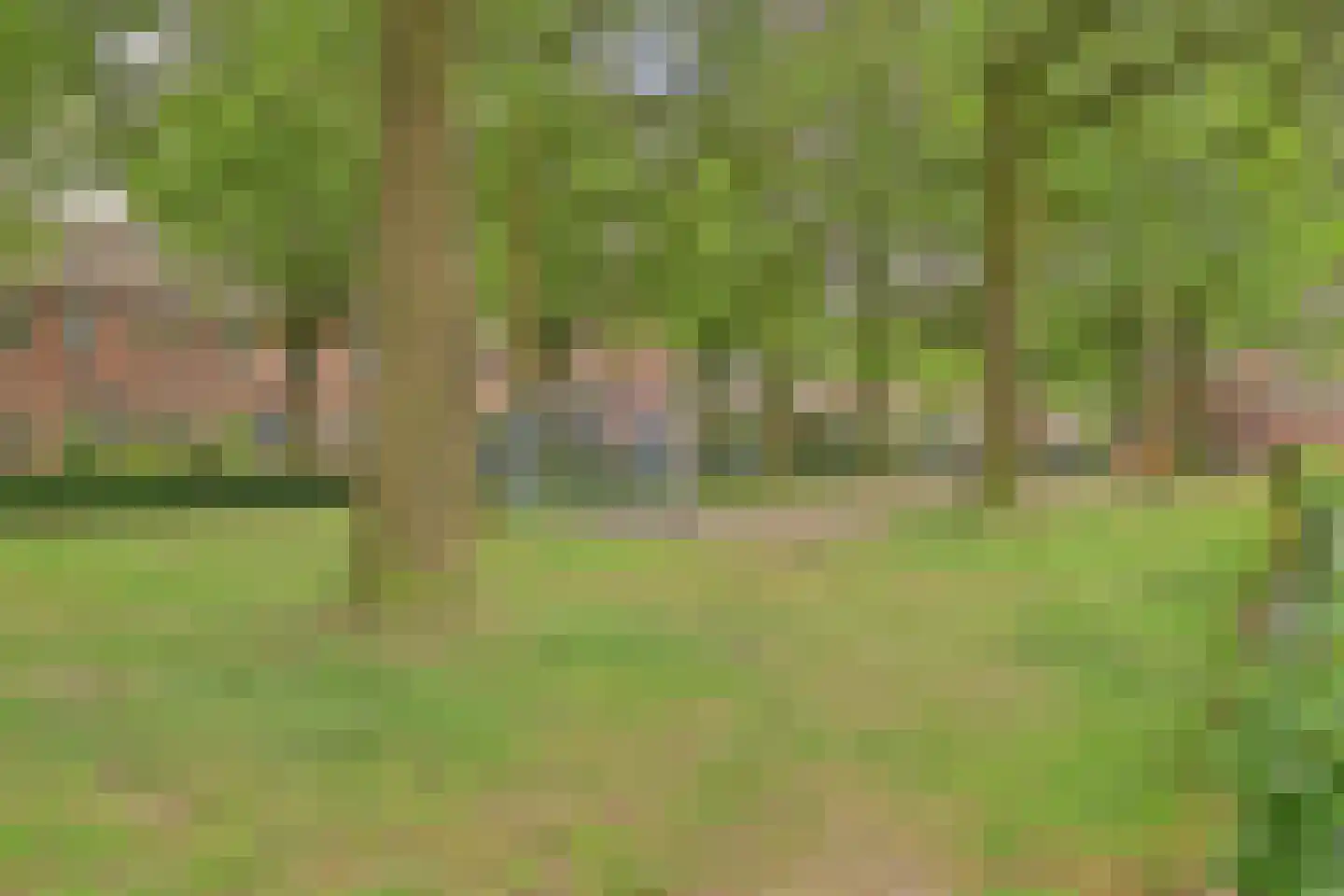 De Groten Ekker 12 Bladel thumbnail 46