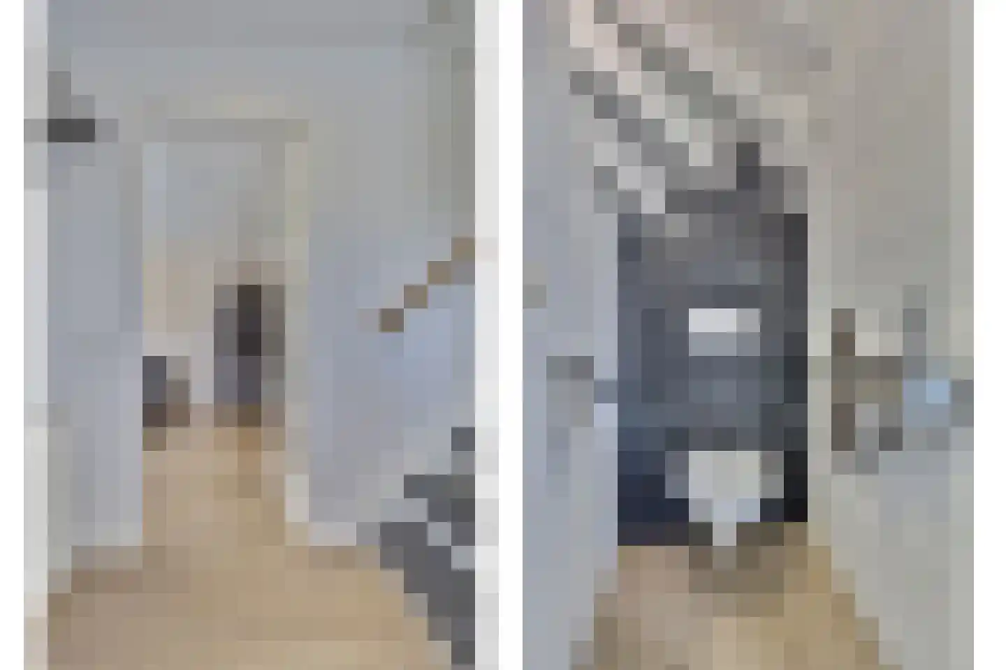De Groten Ekker 12 Bladel thumbnail 5