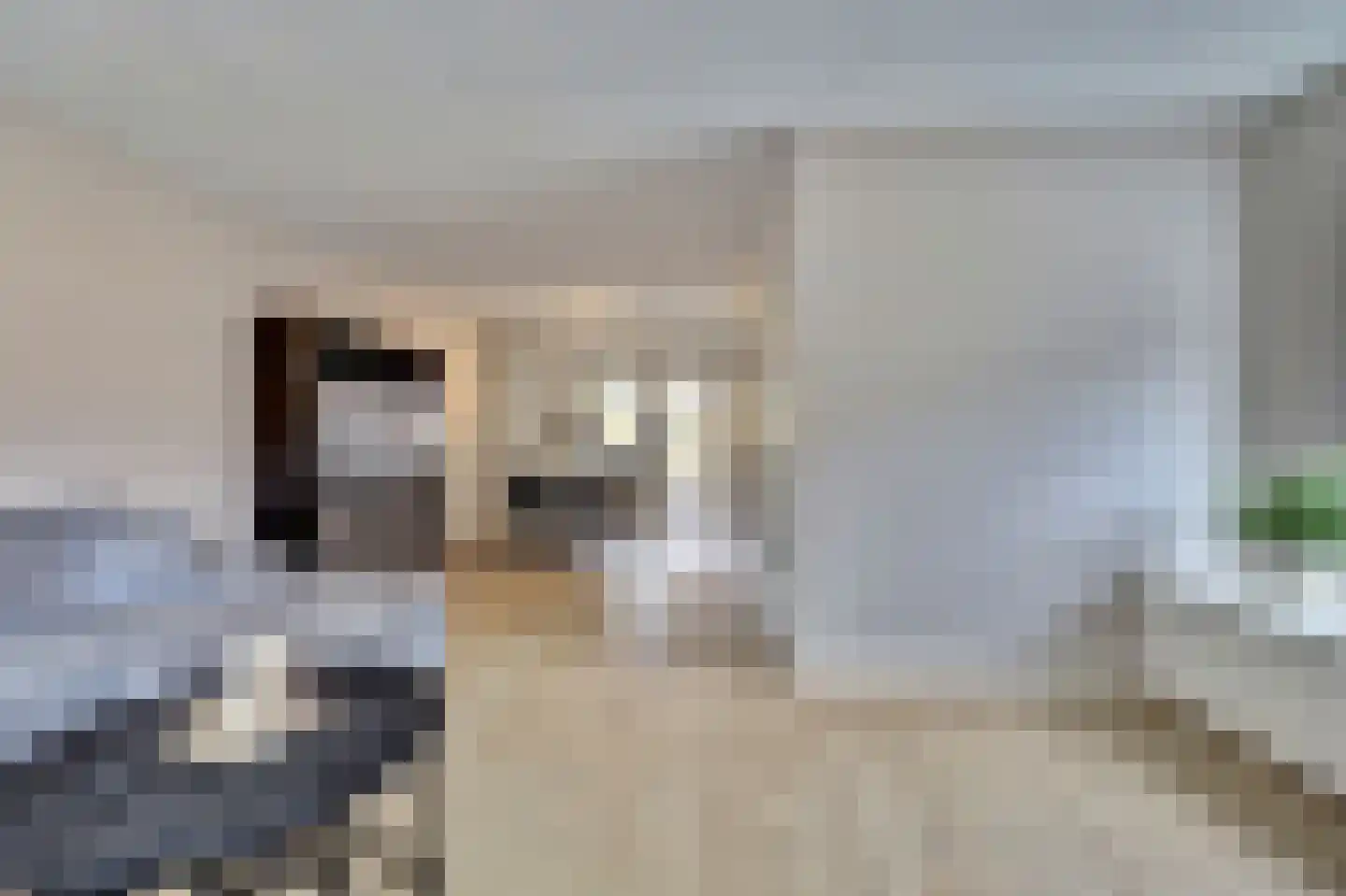De Groten Ekker 12 Bladel thumbnail 9