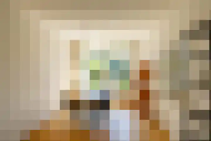 de Grouw 17 Leek thumbnail 10
