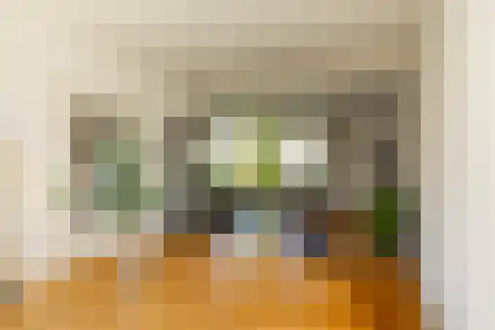 de Grouw 17 Leek thumbnail 11