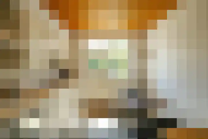 de Grouw 17 Leek thumbnail 12