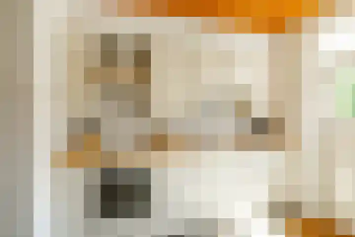 de Grouw 17 Leek thumbnail 13