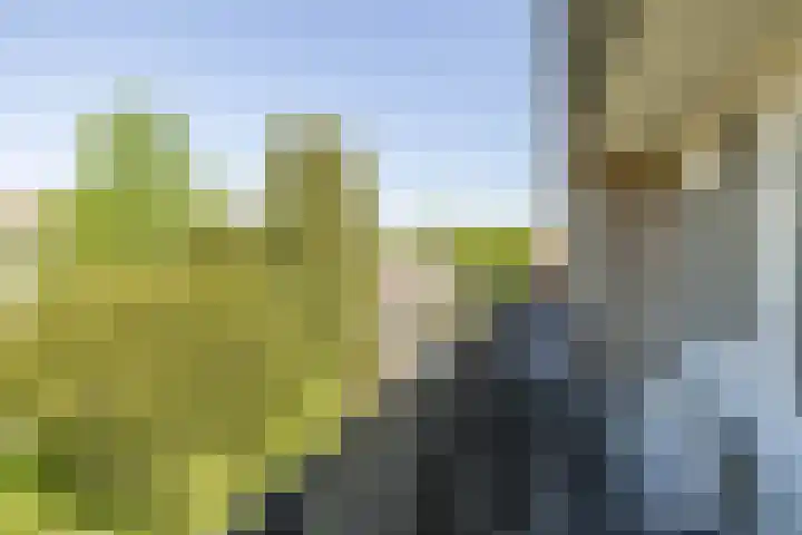 de Grouw 17 Leek thumbnail 19