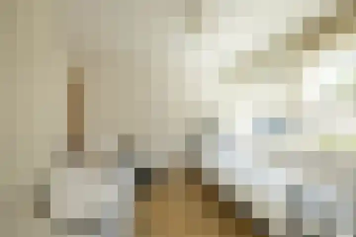 de Grouw 17 Leek thumbnail 20