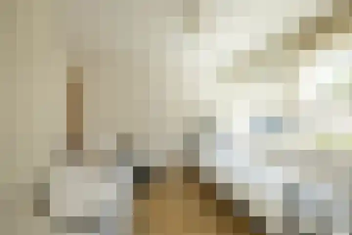 de Grouw 17 Leek thumbnail 21