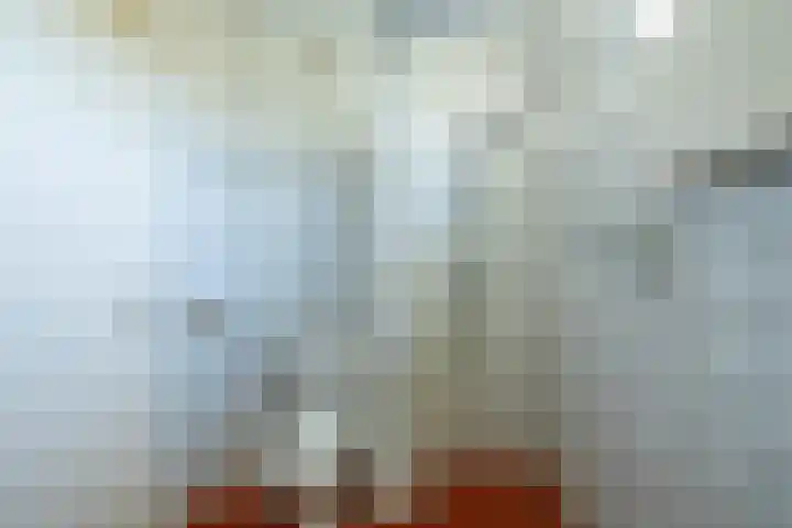 de Grouw 17 Leek thumbnail 25