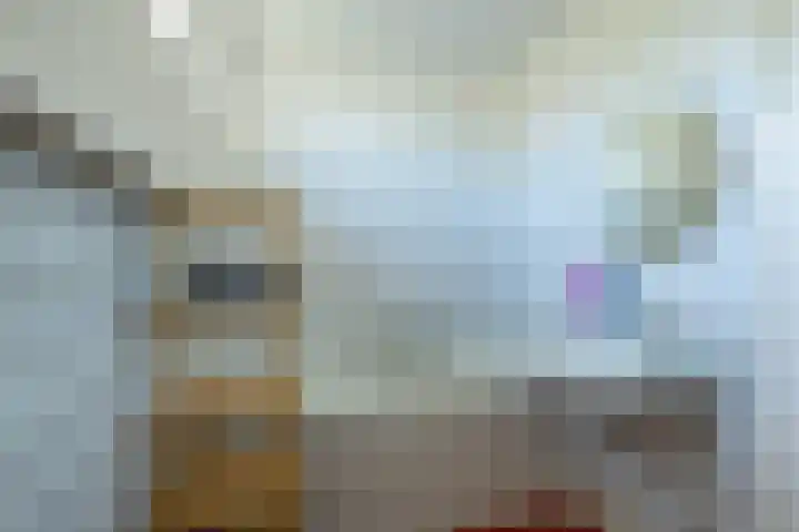 de Grouw 17 Leek thumbnail 26