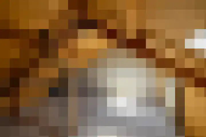 de Grouw 17 Leek thumbnail 27