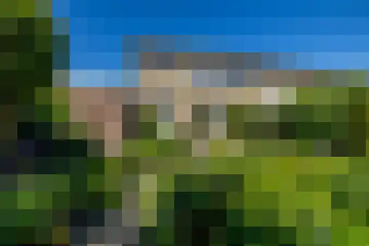 de Grouw 17 Leek thumbnail 29