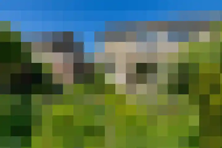 de Grouw 17 Leek thumbnail 30